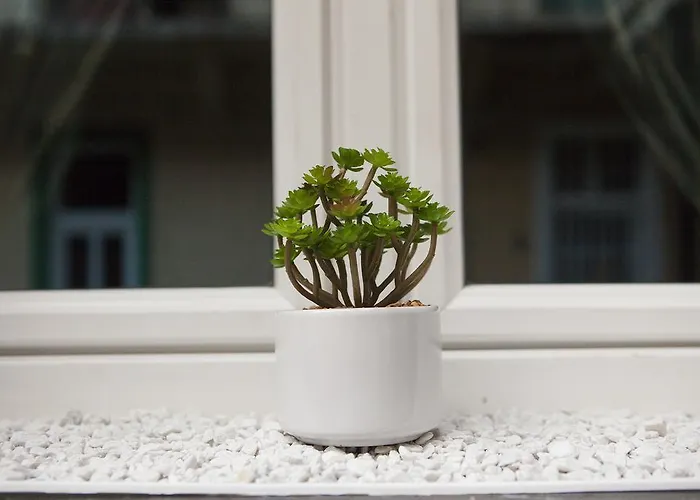 Apartment Jewelry Box In *